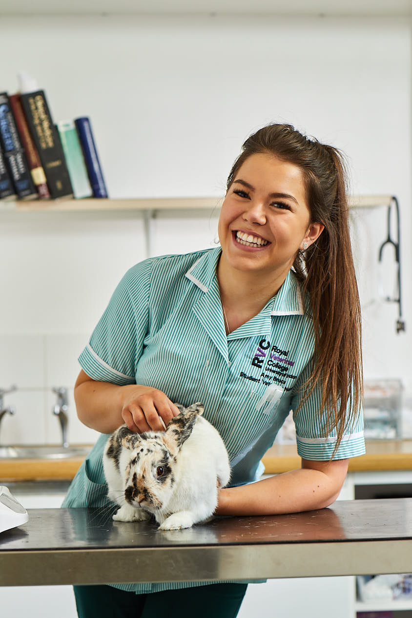 Images Broughton Veterinary Group, Leicester