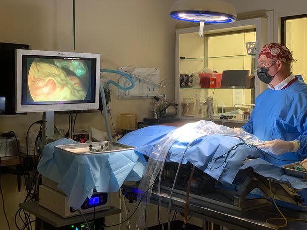 Images Bay City Veterinary Clinic & Equine Hospital