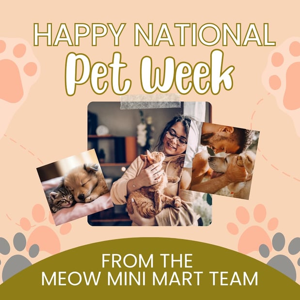Images Meow Mini Mart