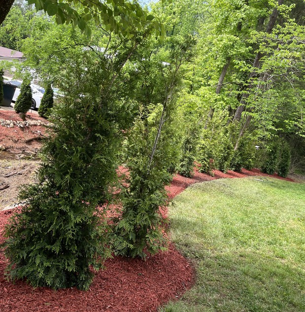 Images Southern Style Turf & Design