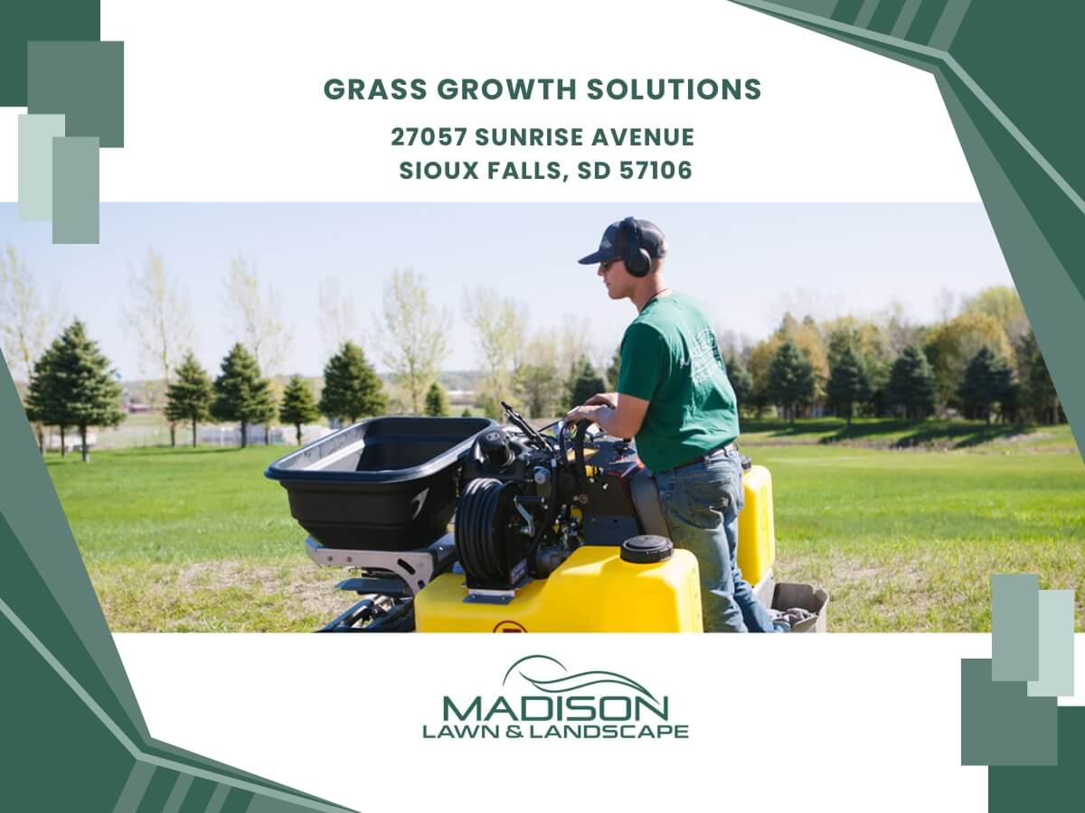 grass growth solutions