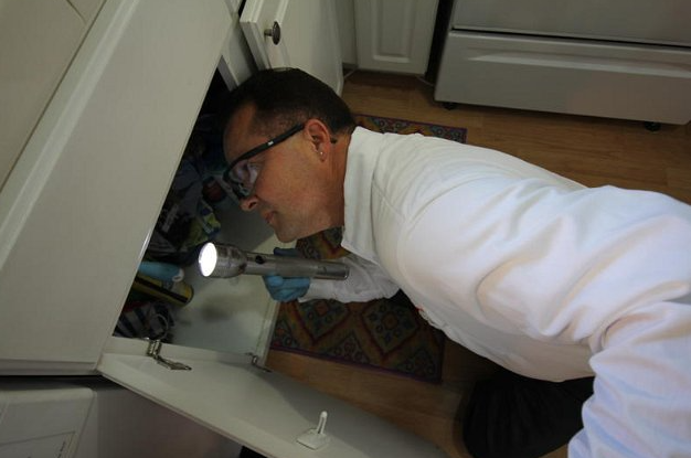 Images C & T Rodent Control Exclusion & Pest Control