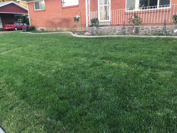 Images Green Castle Lawn Care and Pest Control
