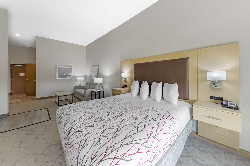 ADA King Suite 