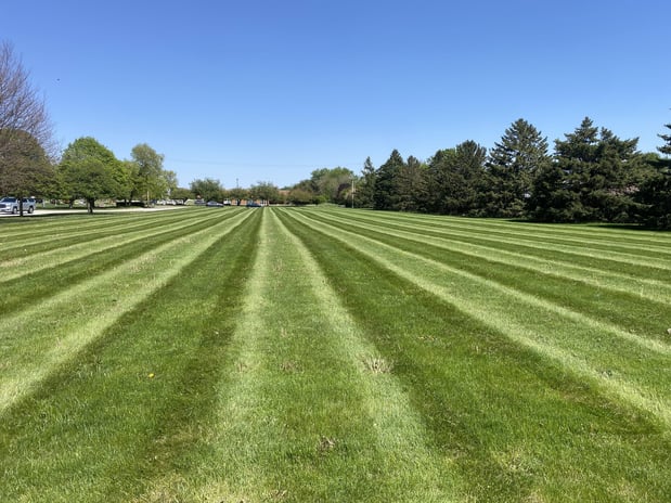 Images Krueger Lawn and Landscape