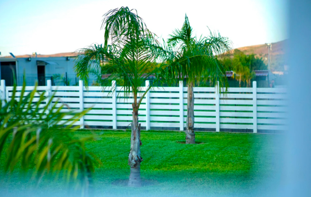 Images Your Dog Resort