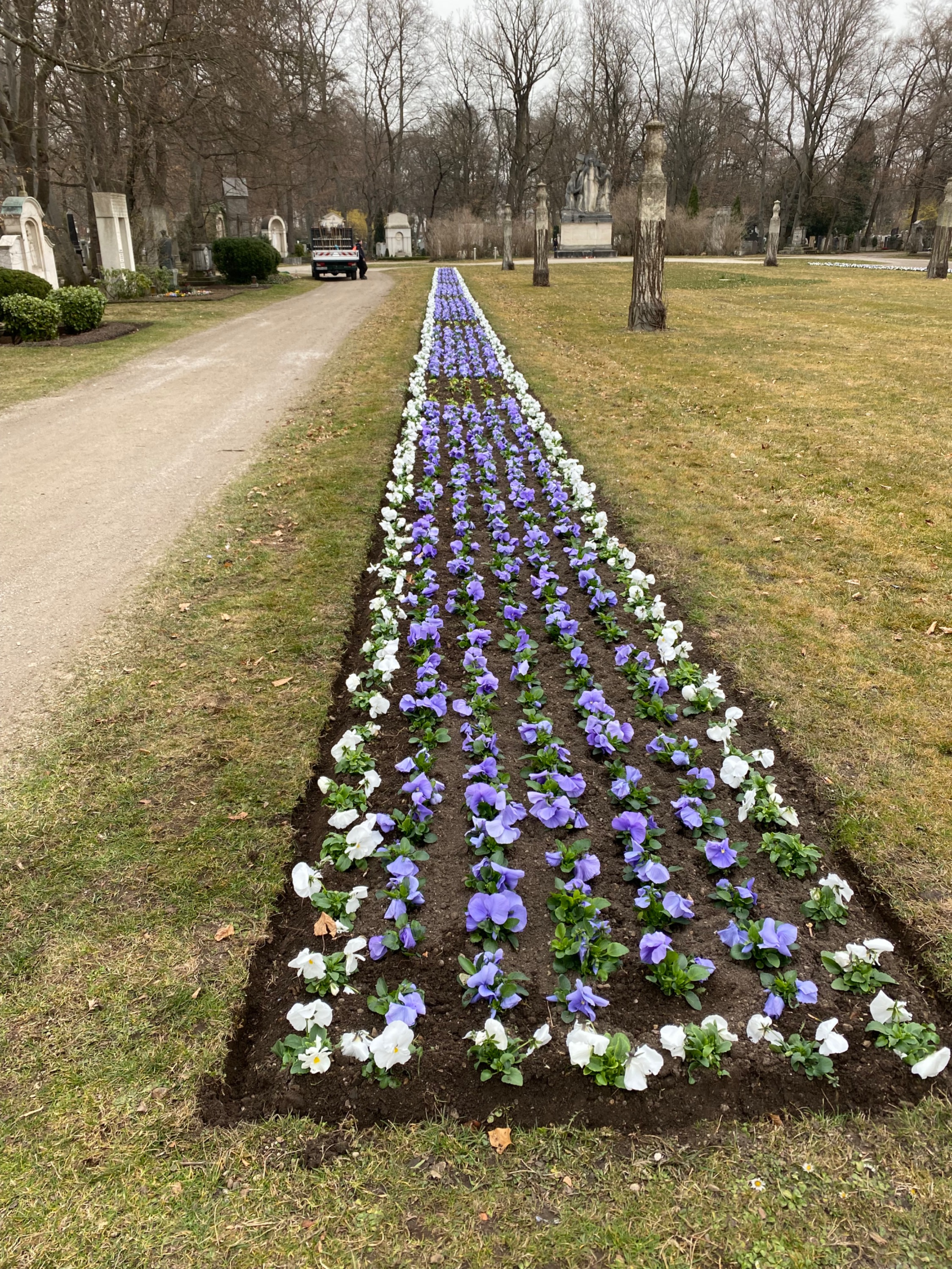 Mai Haus-und Gartenpflege GmbH, Fraunhoferstraße 9 in Dachau