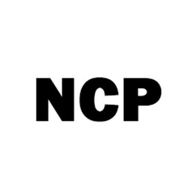 Nordic Concrete Pumping Logo