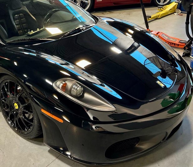 Images Loudoun County Exotics
