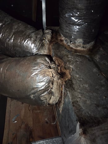 Images Air Zone Plus LLC