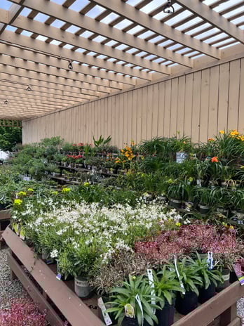 Images Grant Line Garden Center & Nursery