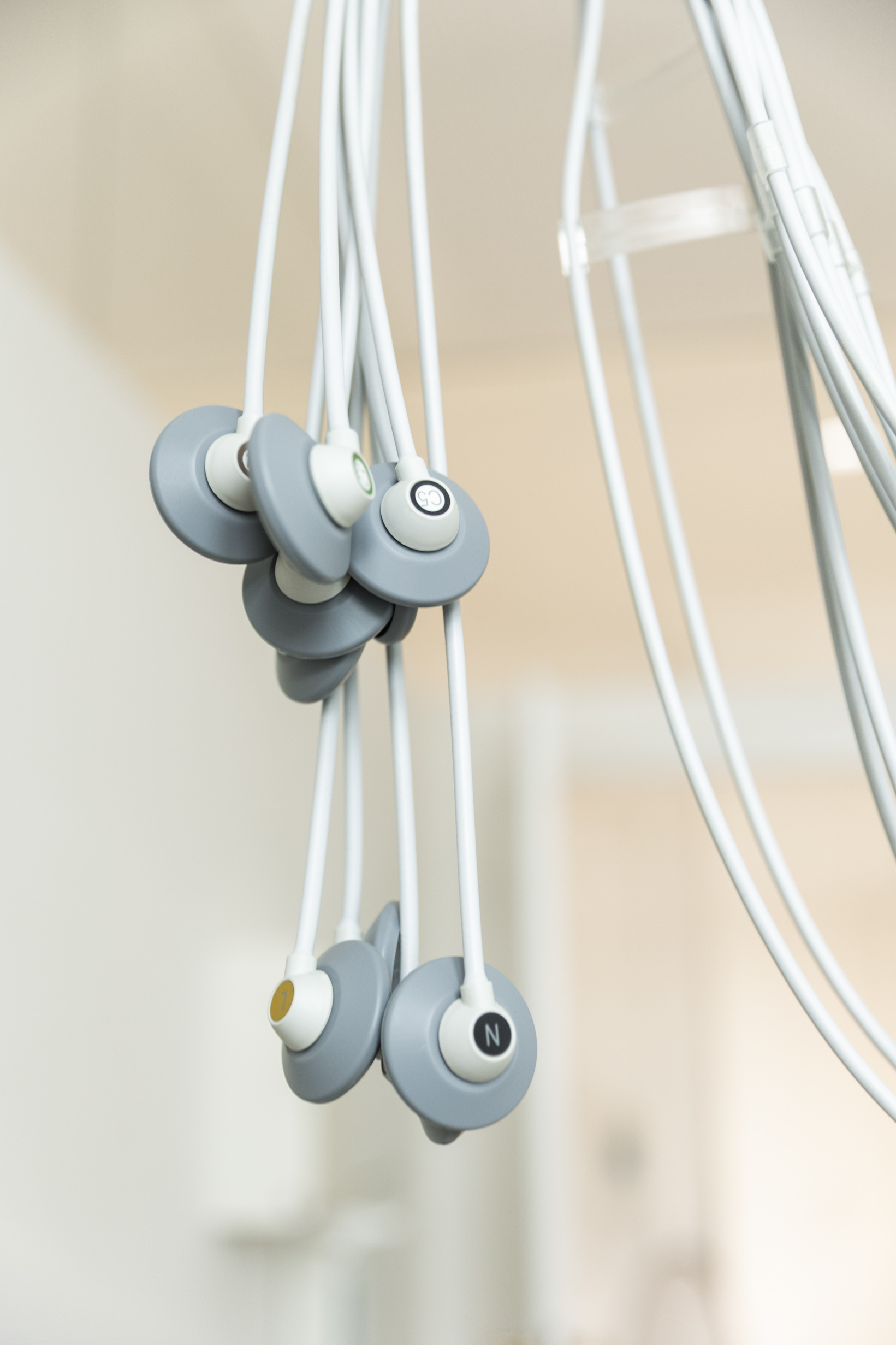 Johanna Lohr Fotografie, Hauffstraße 1a in München