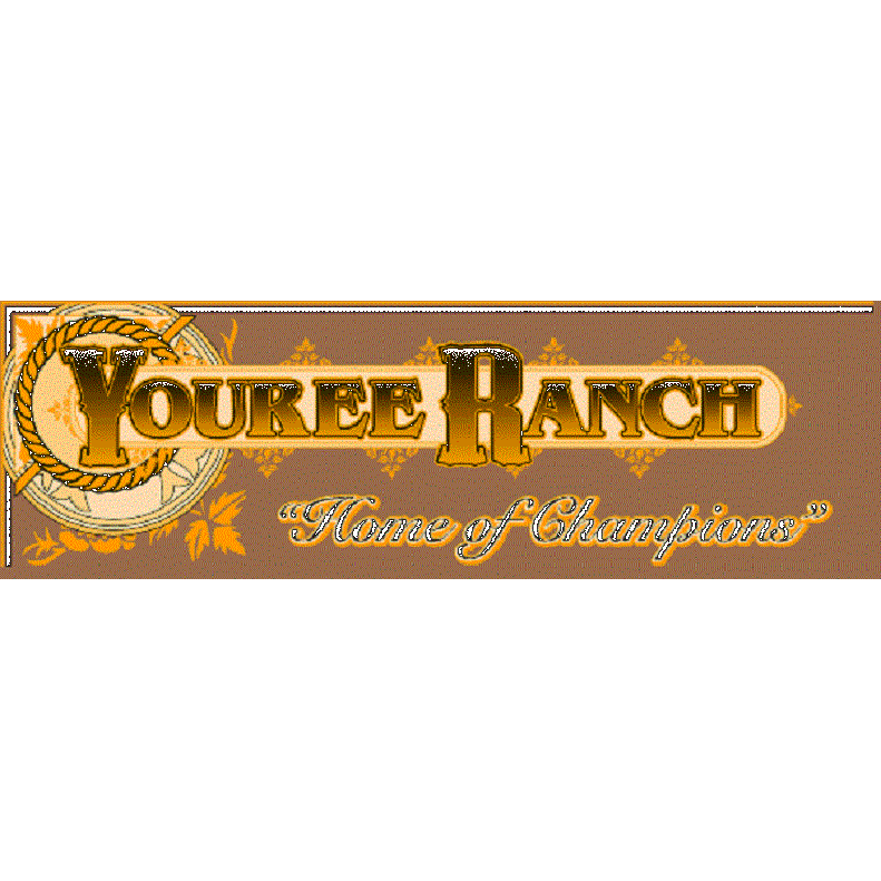 Youree Barrel Horse Ranch