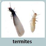Images Professional Pest Management