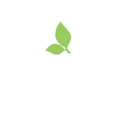 Morning Belle Logo