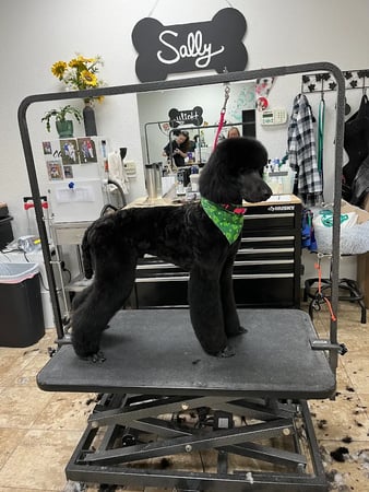 Images The Vintage Groomer