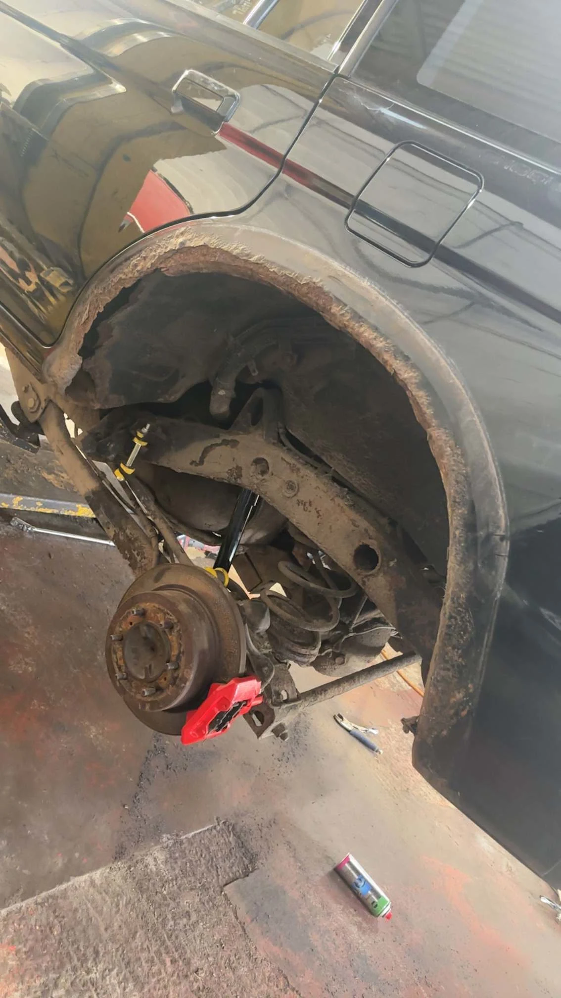 Images Carisma Bodytech