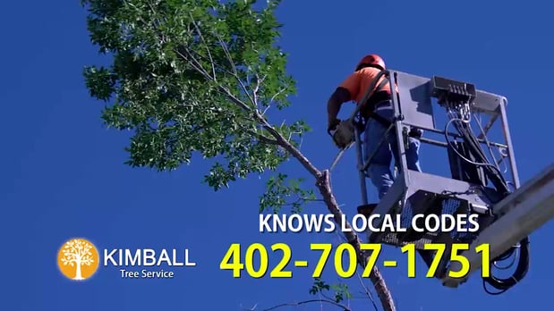 Images Kimball Tree Service