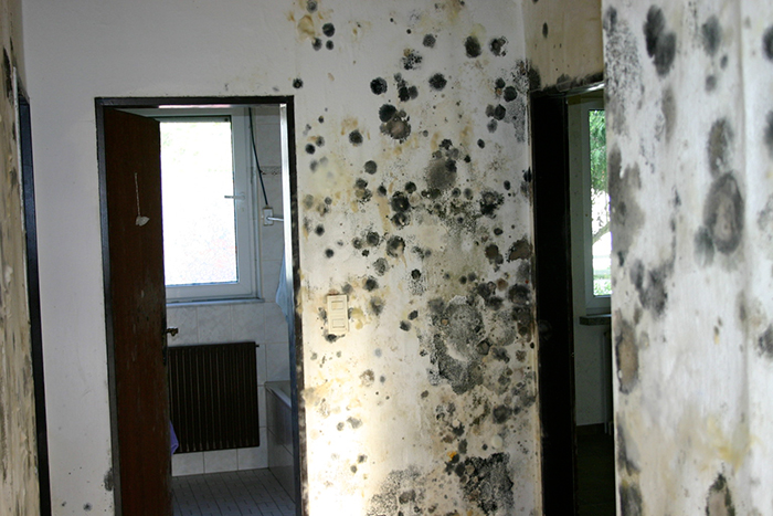Ebs Inh. M. Raabe, Beselerstr. 42 in Husum