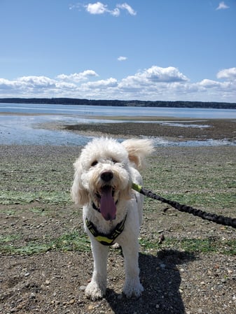 Images Kao Xiong - State Farm Insurance Agent