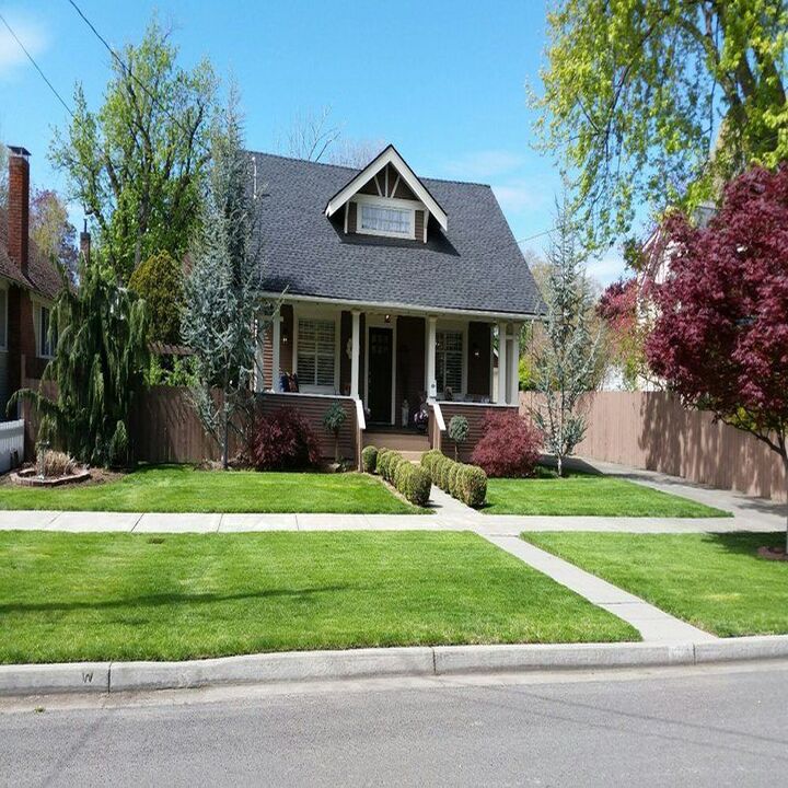 Images Mario's Yard Care