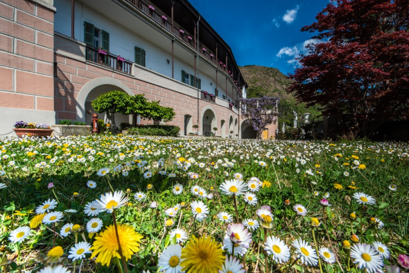 Images Il Glicine - Rsa - Casa di Riposo