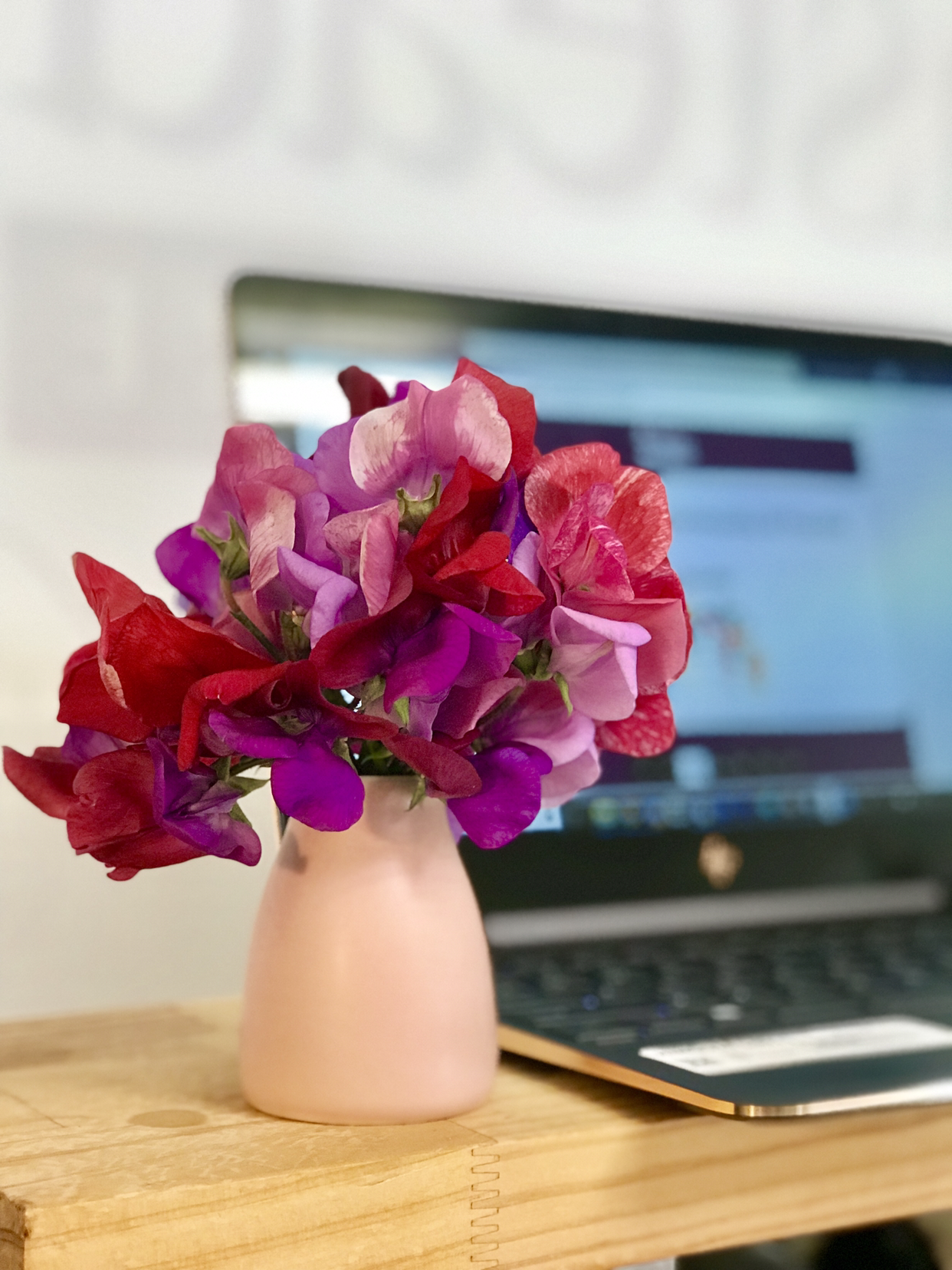 Images Dovida Central Coast