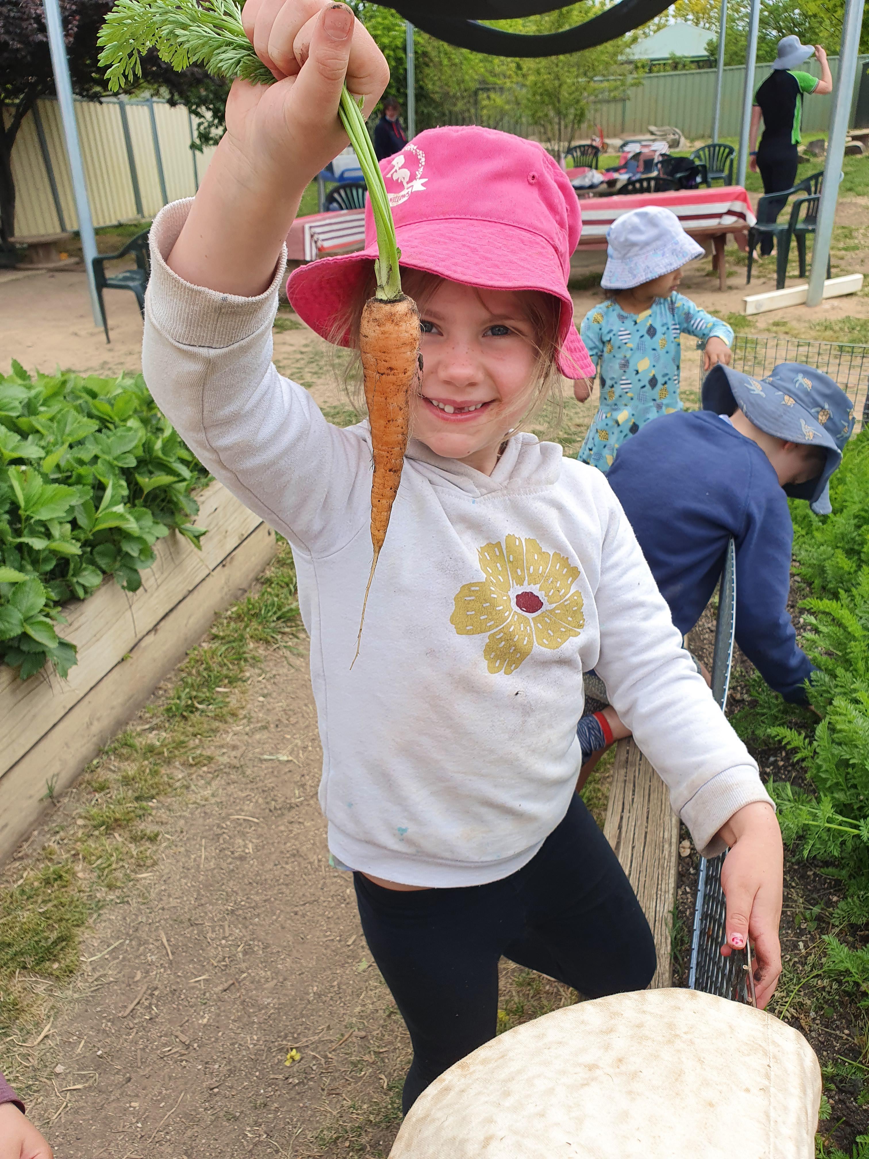 Images The Willows Preschool and Early Learning Centre