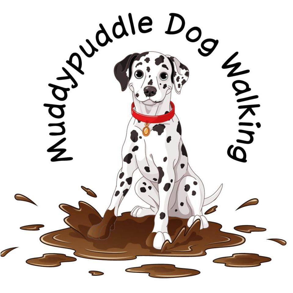 LOGO Muddypuddle Dog Walking Glasgow 07719 107926
