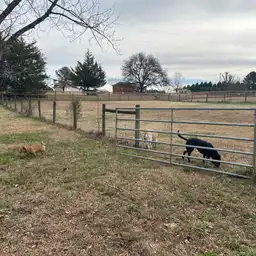 Sniffspot Yolistone Image