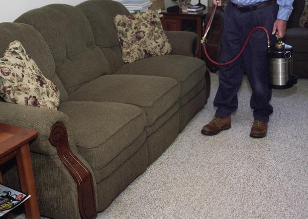 Images Assurance Pest Control, Inc.