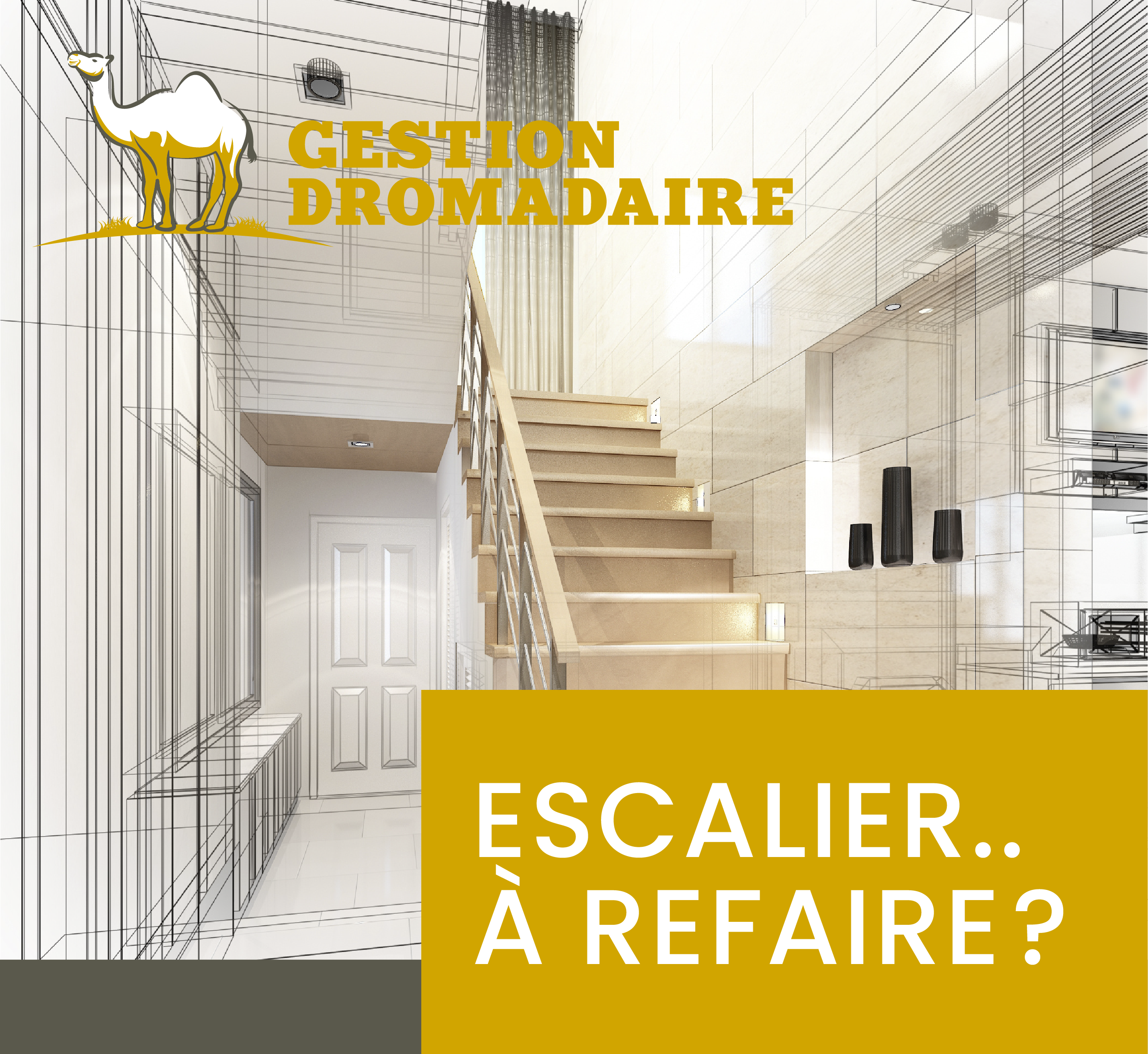 Images Gestion Dromadaire Inc