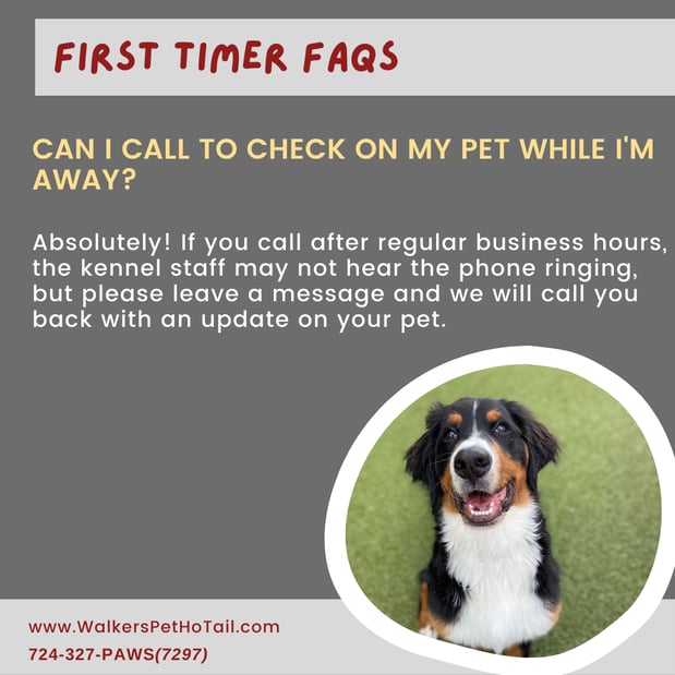 Images Walkers Pet HoTail Pet Care Center