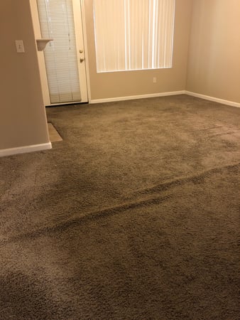 Images Carpet Pro Carpet Cleaning & Dyeing