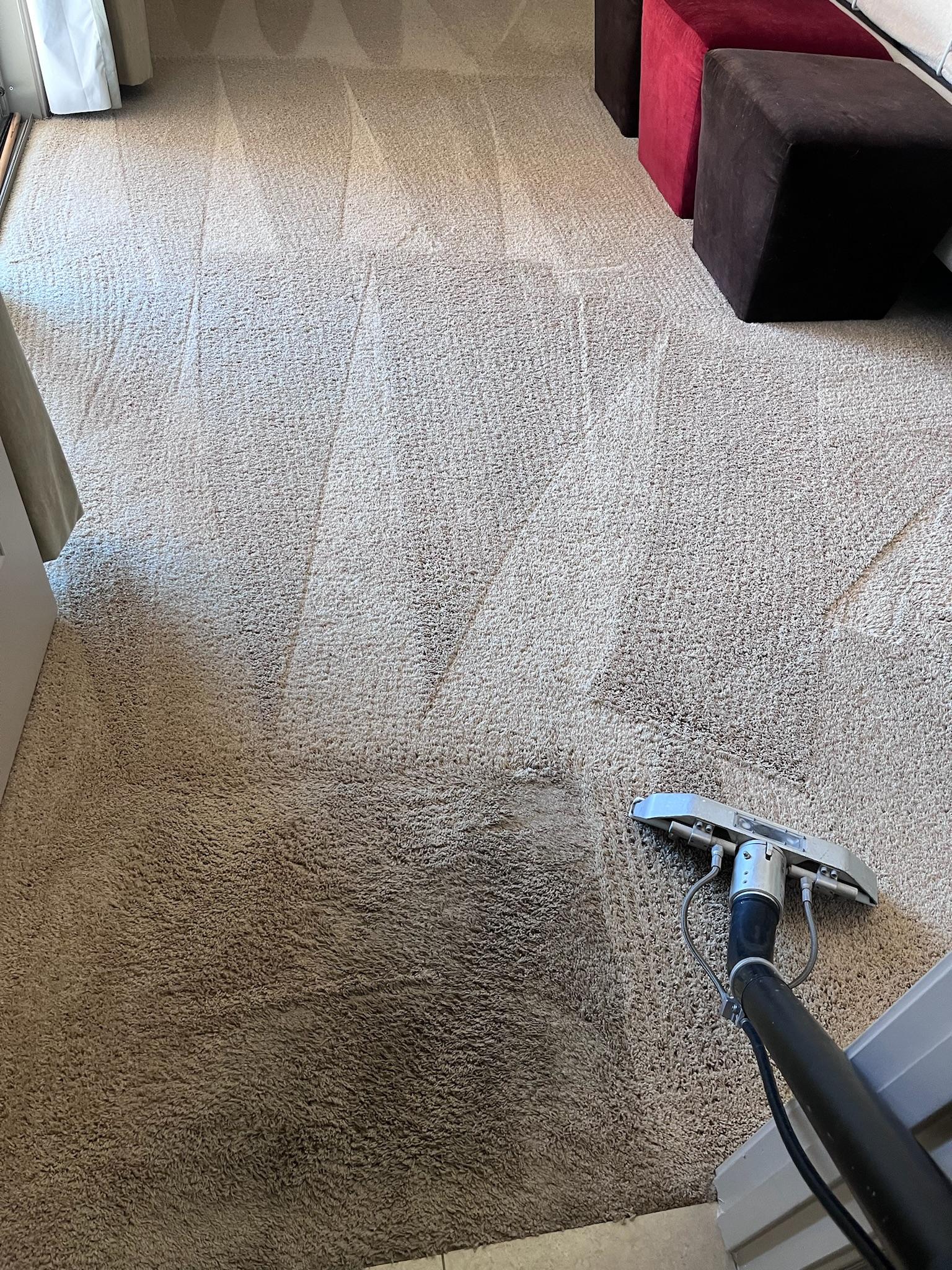 carpet cleaning company in South Scottsdale