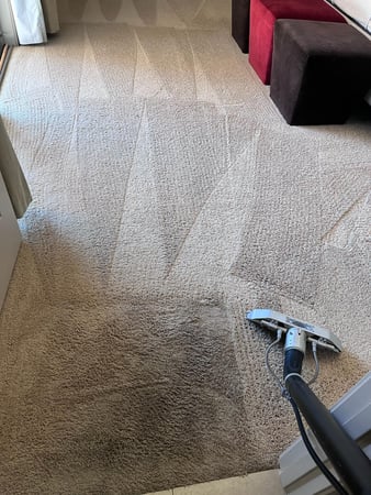Images Renew Cleaning Services