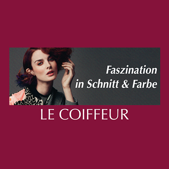 Le Coiffeur Martina Missbrenner in Gütersloh - Logo