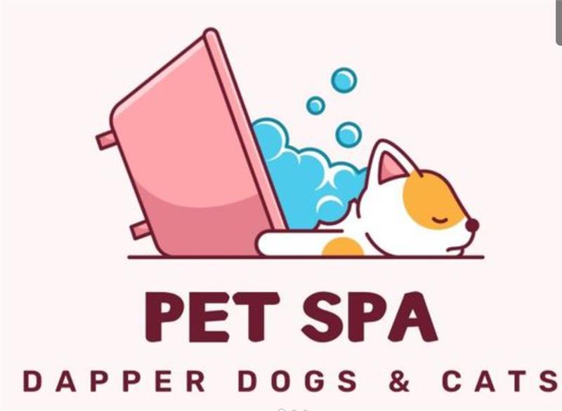 Images Dapper Dogs & Cats Pet Spa