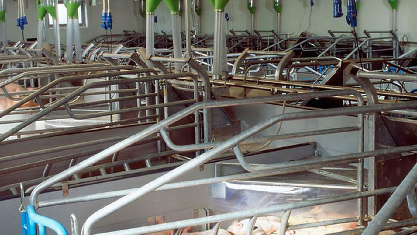 Images Vanggaard Staldmontage ApS