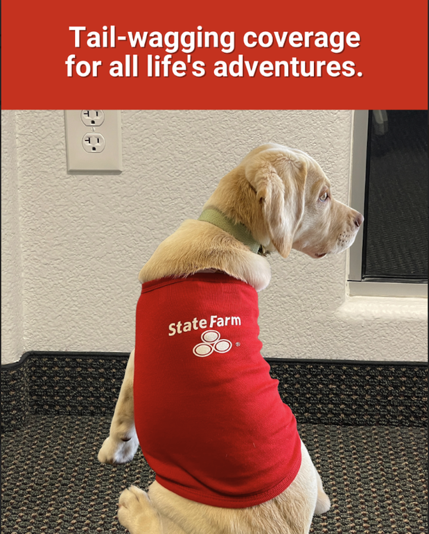 Images Gus Simeon - State Farm Insurance Agent