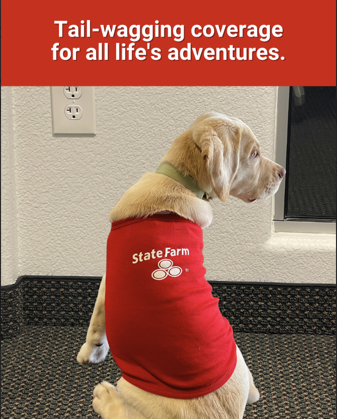 Gus Simeon - State Farm Insurance Agent