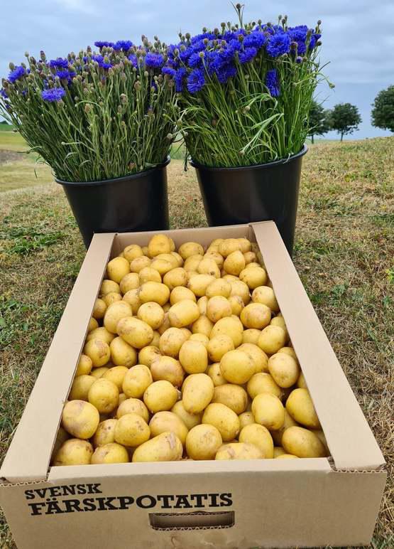 Images Gränsbo Potatis AB