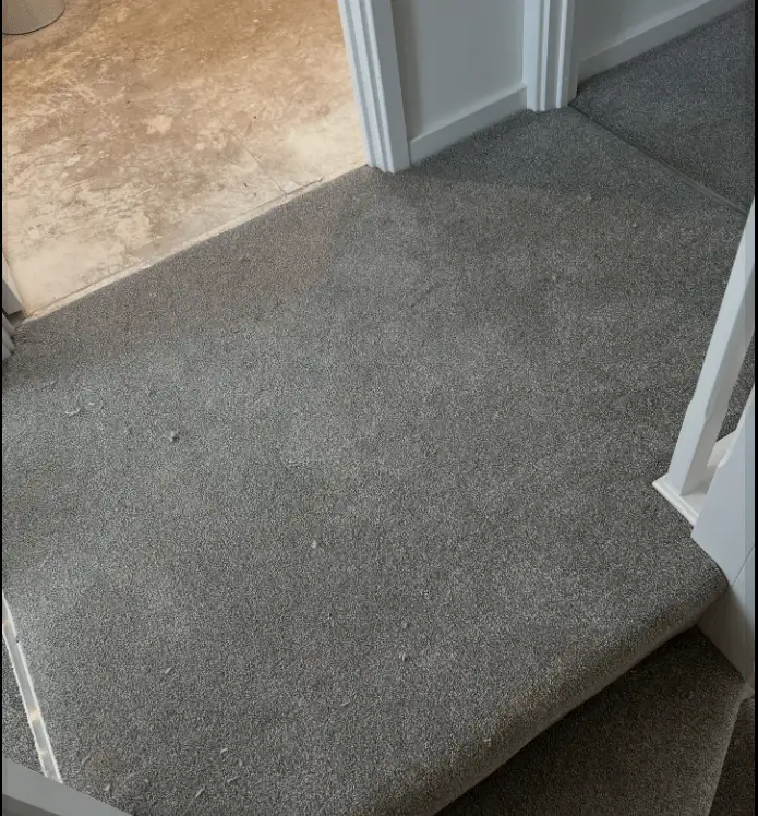 Images Special Ops Flooring