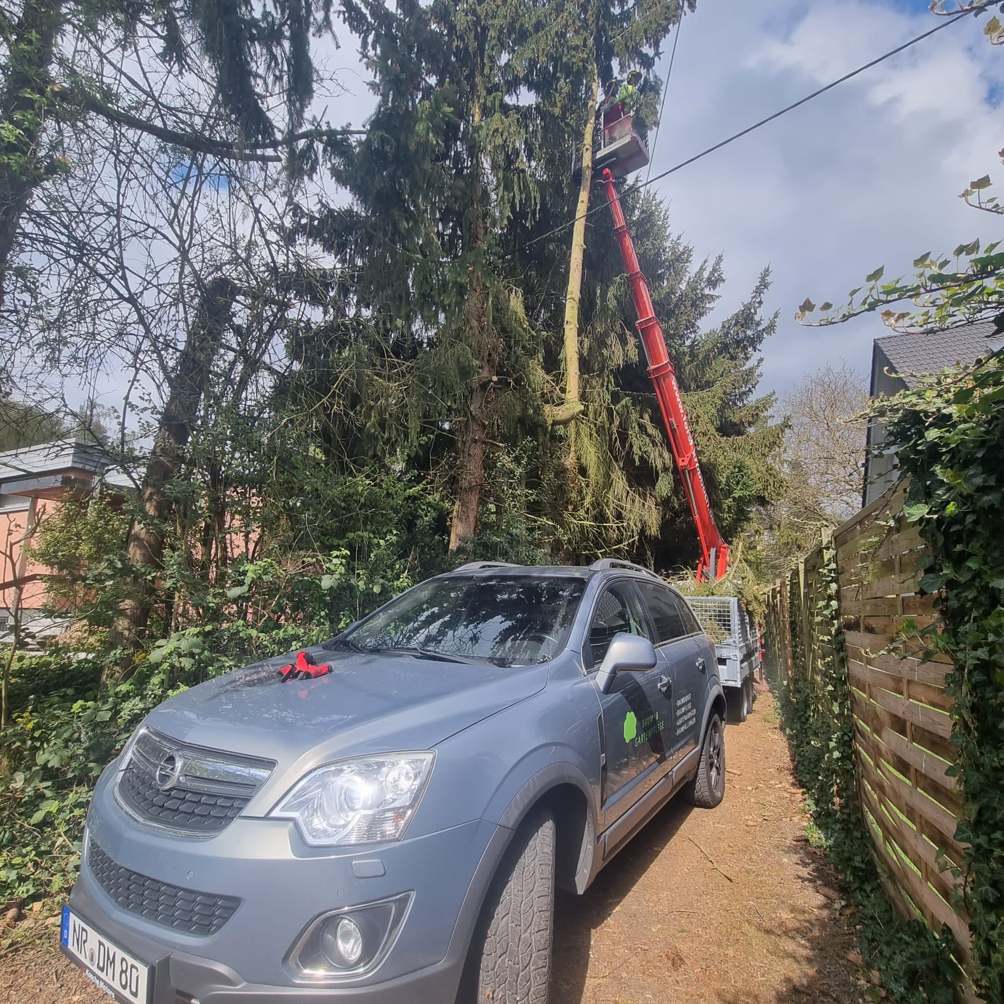 Baum- & Gartenpflege Loose in Melsbach
