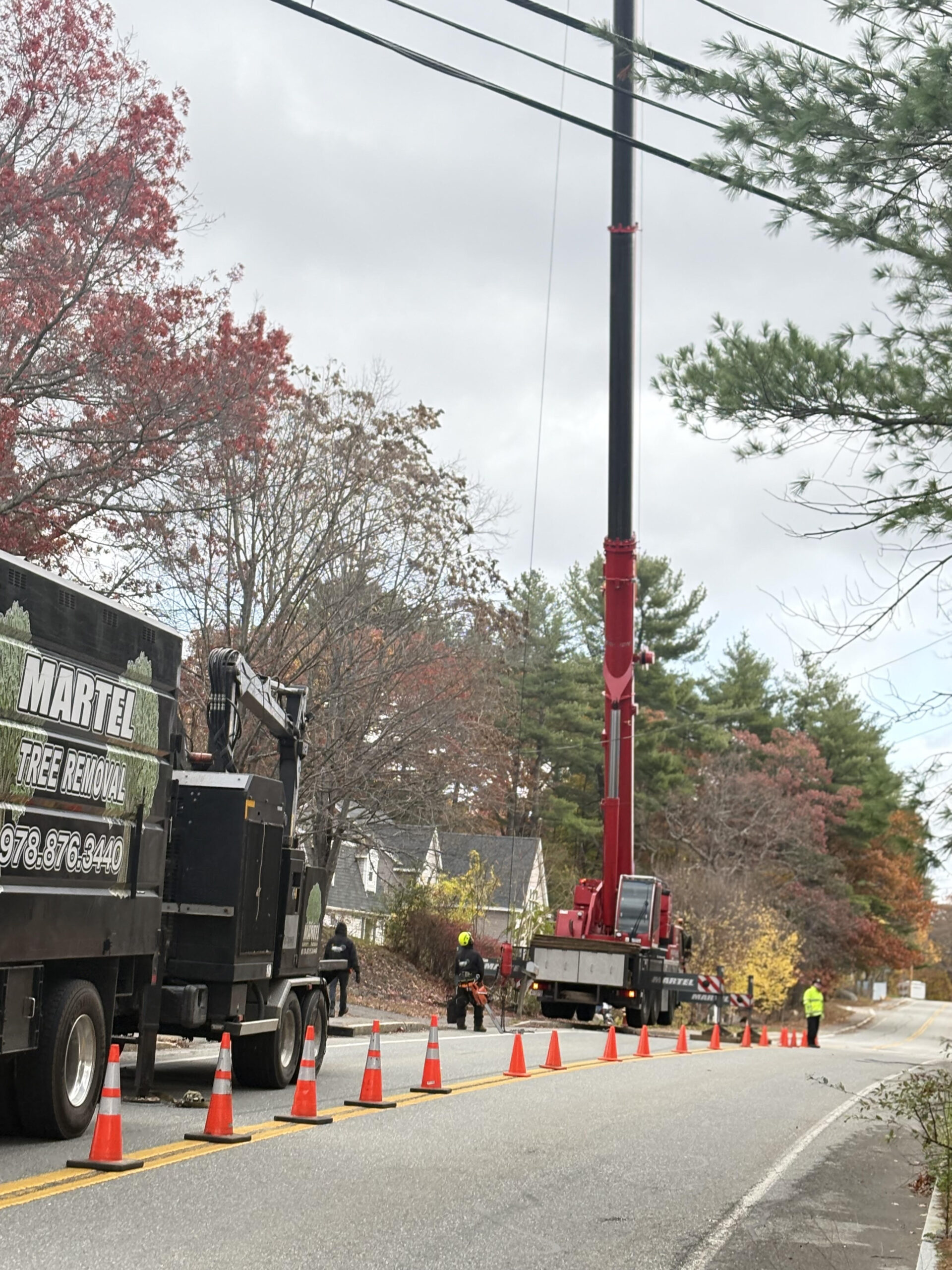 Martel Crane Service & Tree Removal Image
