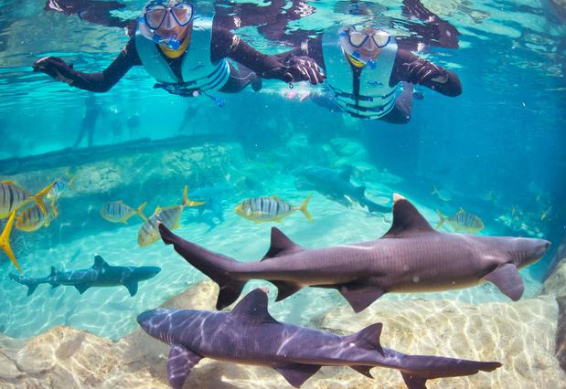 Images Staybridge Suites Orlando at Seaworld by IHG