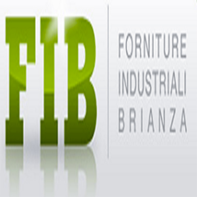 F.I.B. srl Logo