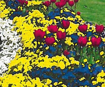Bilder Klinke Garten