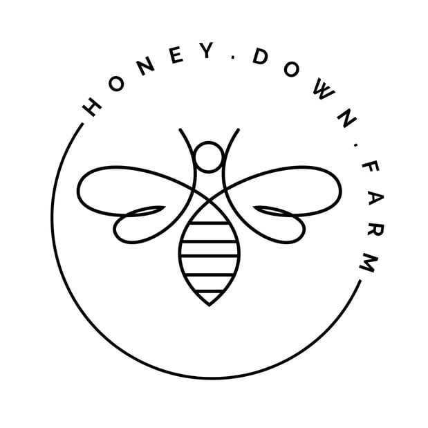 Images Ollie Skincare