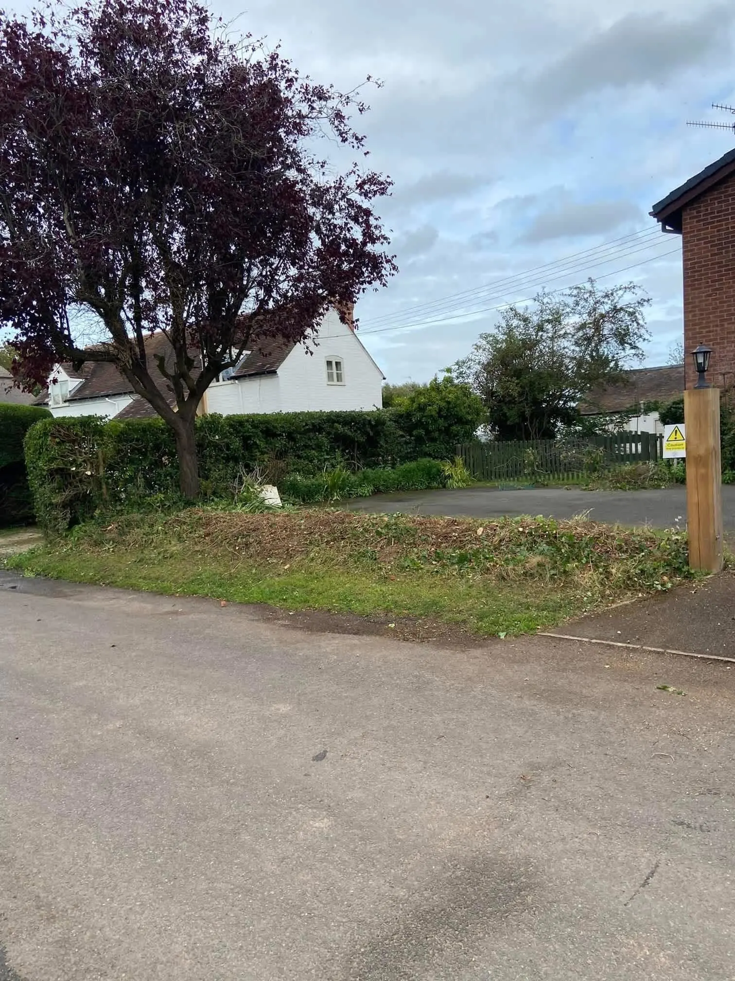 Images Oakwood Tree & Landscaping Services